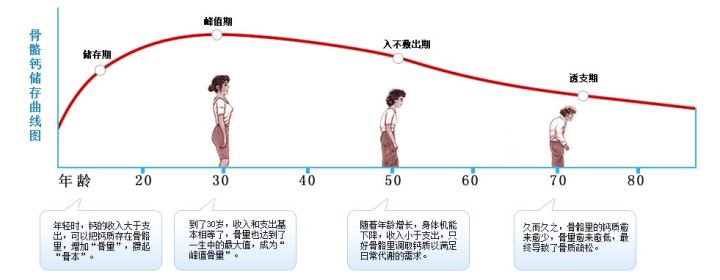 市面上常用的几种钙剂有何区别？哪种更适合骨质疏松者服用？