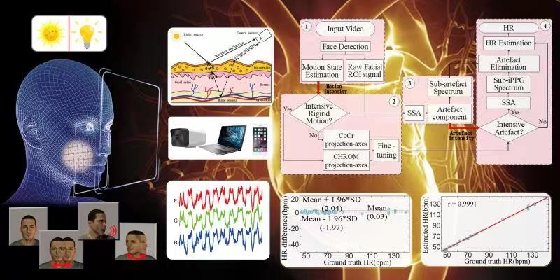 聚焦全球危机！东北一高校连出重磅成果，获国际关注
