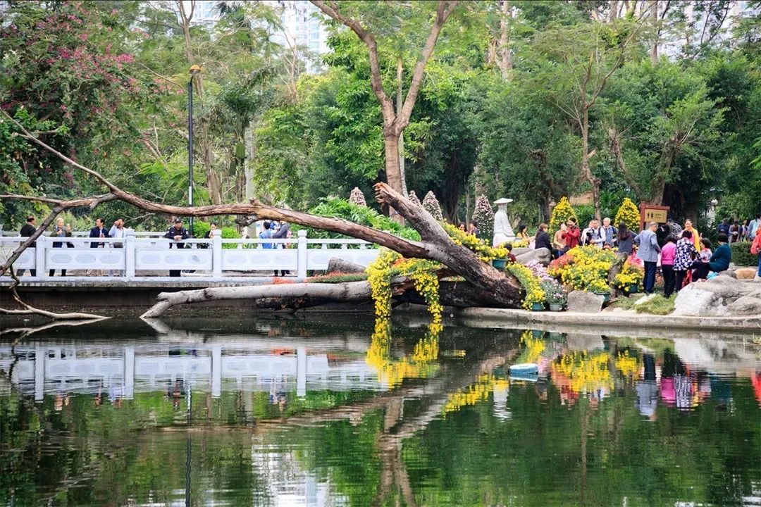 深圳宝安免费足球场(啊啊啊啊啊深圳7号线也太好玩了)