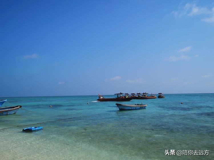 西沙~南海中的一片莲