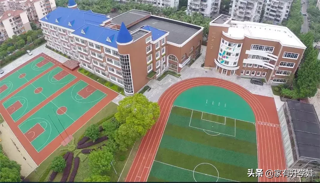 市中心的升学“黑洞”,家长如何来择校？普陀区幼小资源盘点！