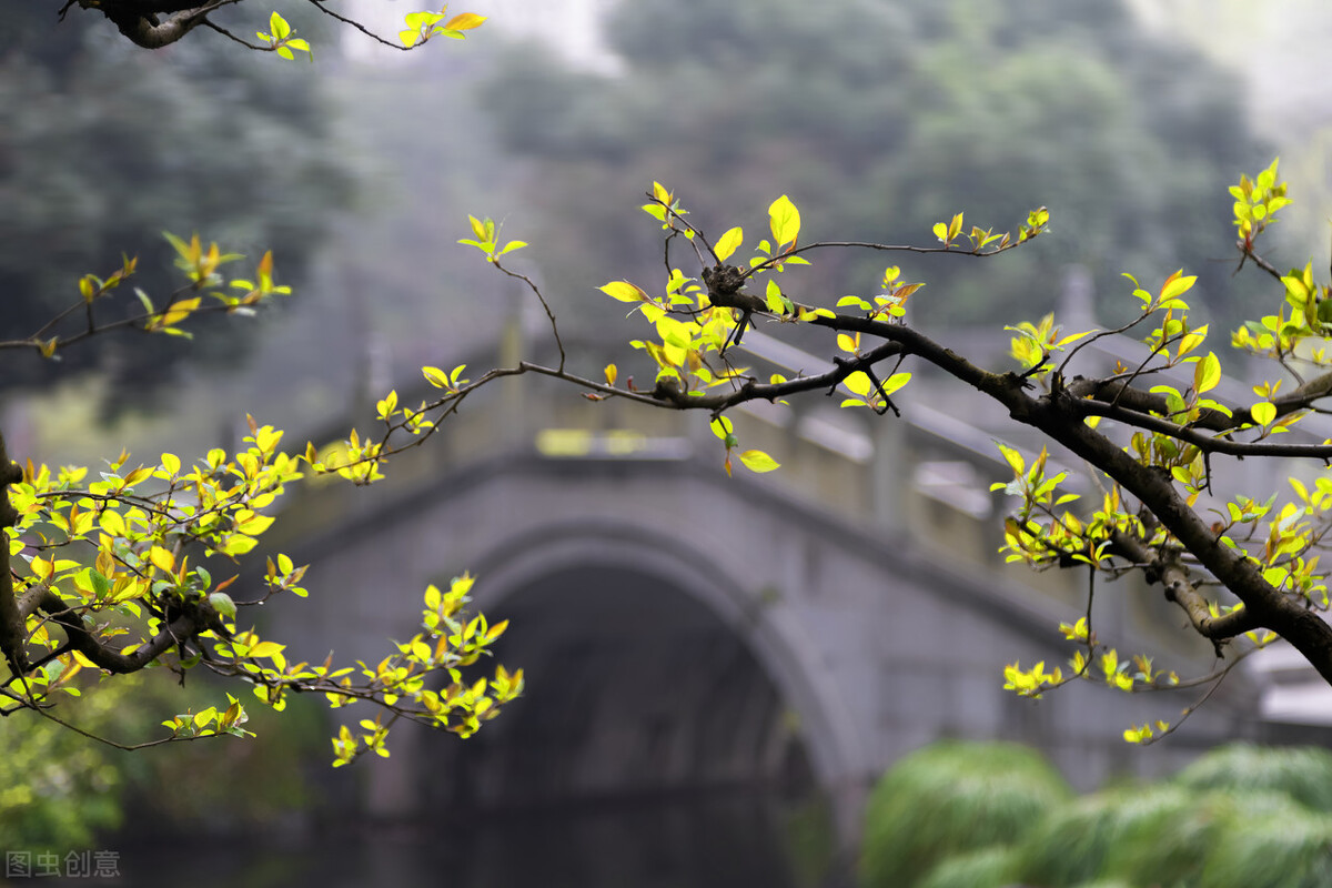 20张例图8个摄影技巧,拍文艺唯美风景照