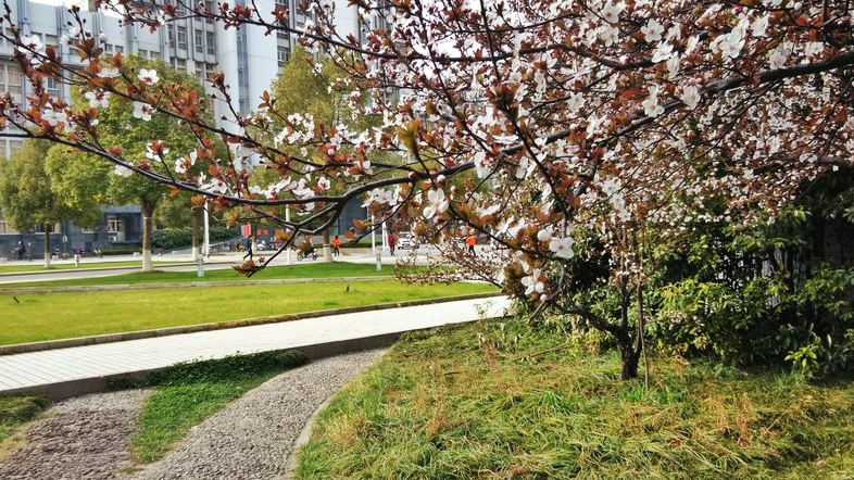 “十四五”期间，盐师如何升格“盐城师范大学”，实现蓬勃发展？