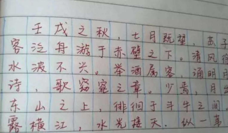 湖北高考状元语文146，字迹如印刷体，成功背后是持之以恒的努力
