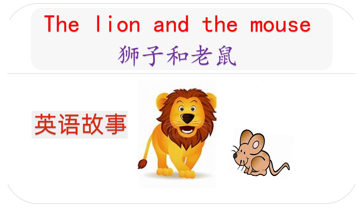 老鼠英语单词及绘本故事讲解