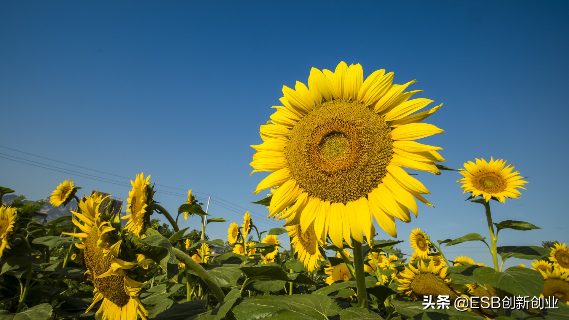 自我管理,大學生的必修課之一