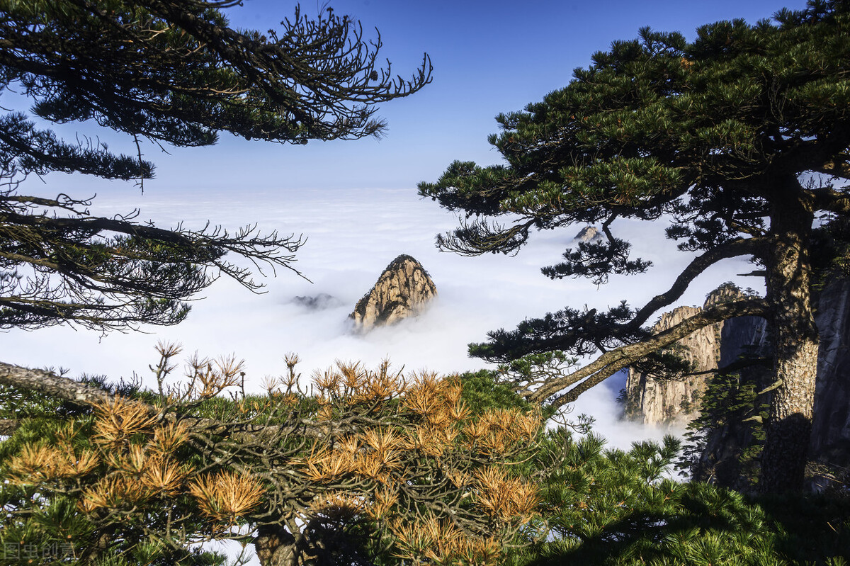 黄山奇松怪石,美不胜收