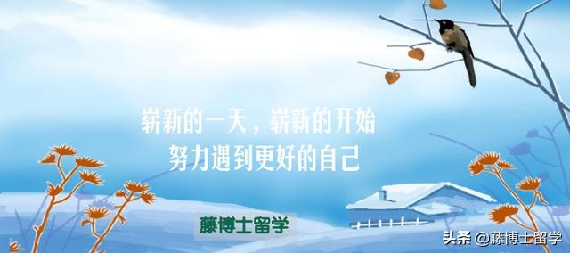 「藤博士院校解读」杜克大学：美国名校中的世外桃源