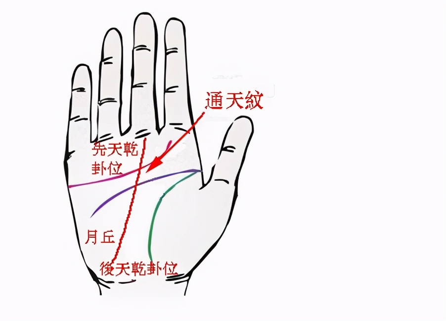 通天纹是正黄旗人标志？大妈您连通天纹是啥都不知道，它不在脸上