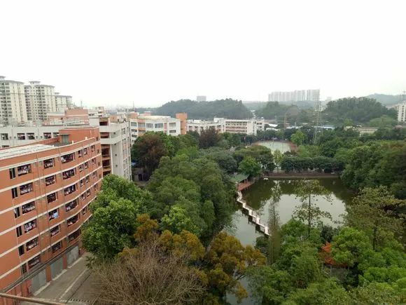 高职高考必看｜全面了解广东江门中医药职业学院