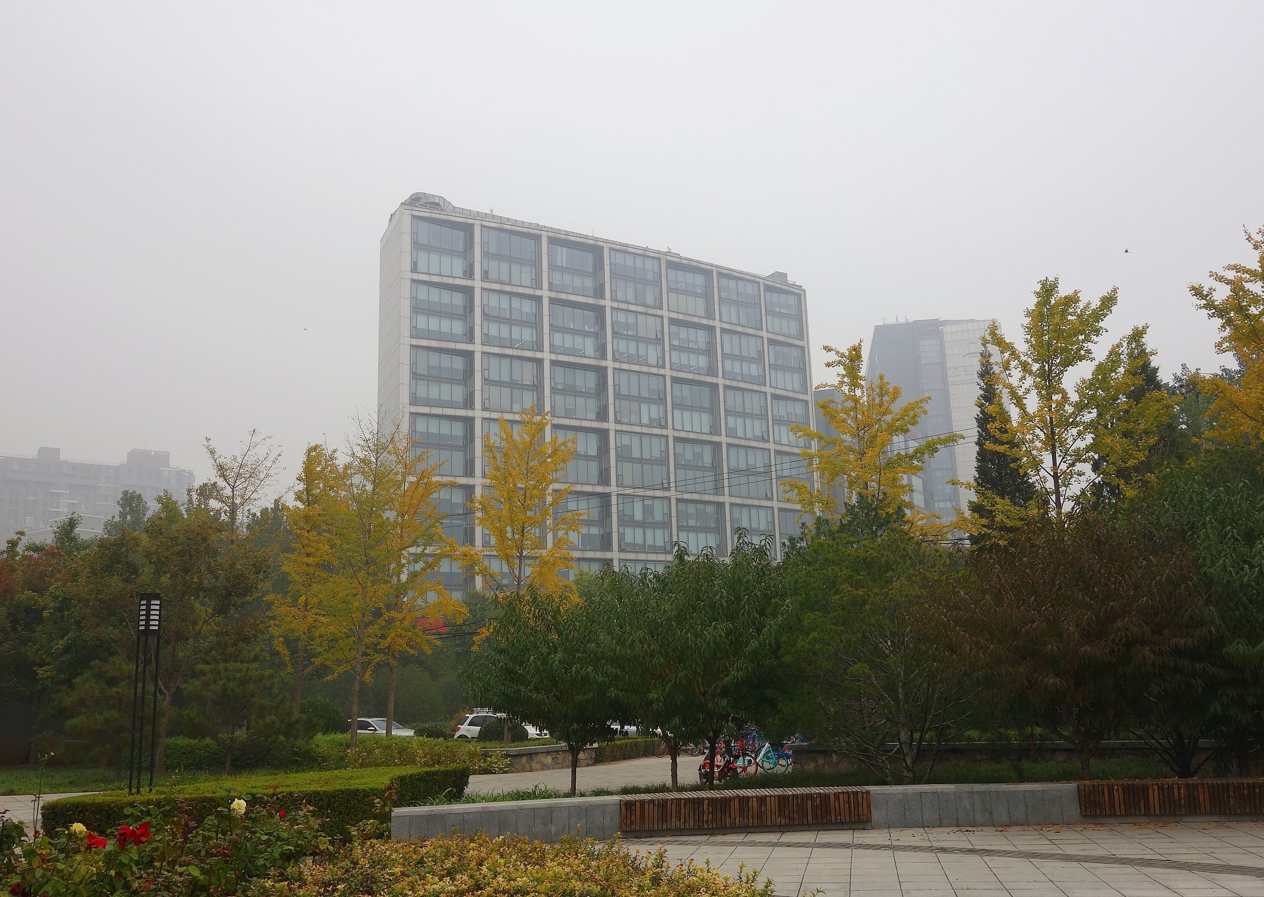 乐视大厦拍卖叫停,乐视大厦拍卖叫停啦啦啦德玛西亚