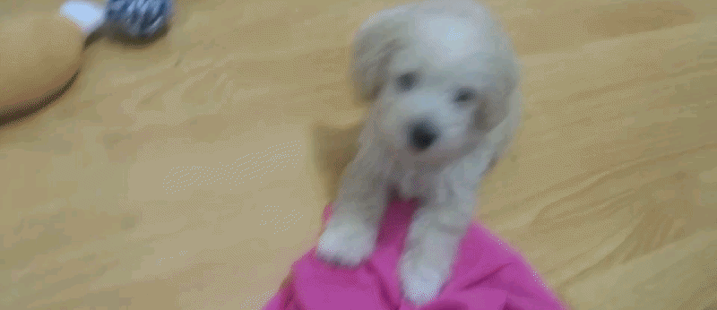 不会写头条？如何获取展现、如何爆文、怎么获得很多阅读量和收益