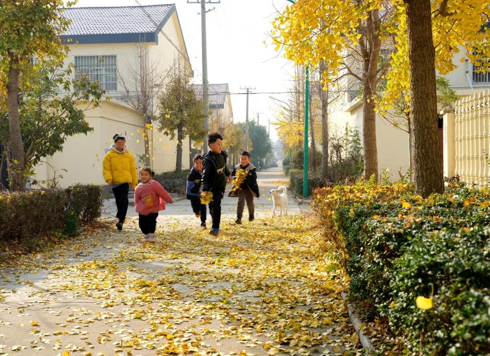 图赏 | 东海：启航新征程，共筑振兴梦