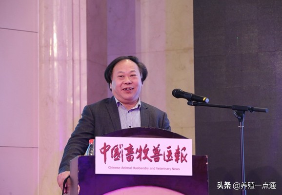 谯仕彦，中国农业大学教授、博导。动物营养与饲料科学专家