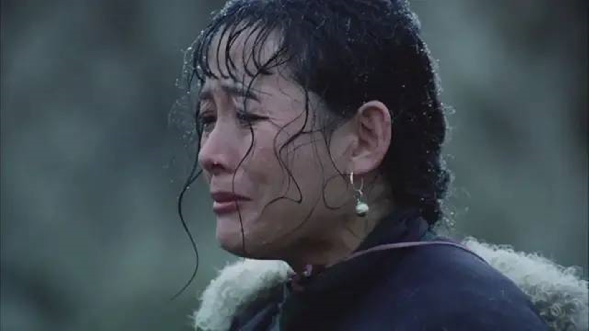 黑骏马腾格尔电影剧情「梳理」 _晶羽科技