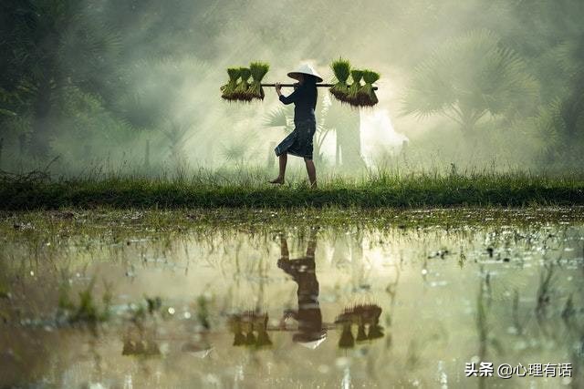 颜值很高的星座，堪称星座三美