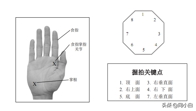 网球基本握拍方式几种及特点(技术理论 l 第一期网球技术基础——正确的握拍方式)