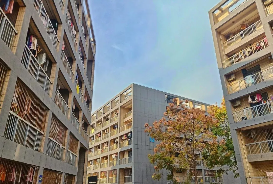 艺考资讯 | 九大美院的校园景色battle，也是神仙打架