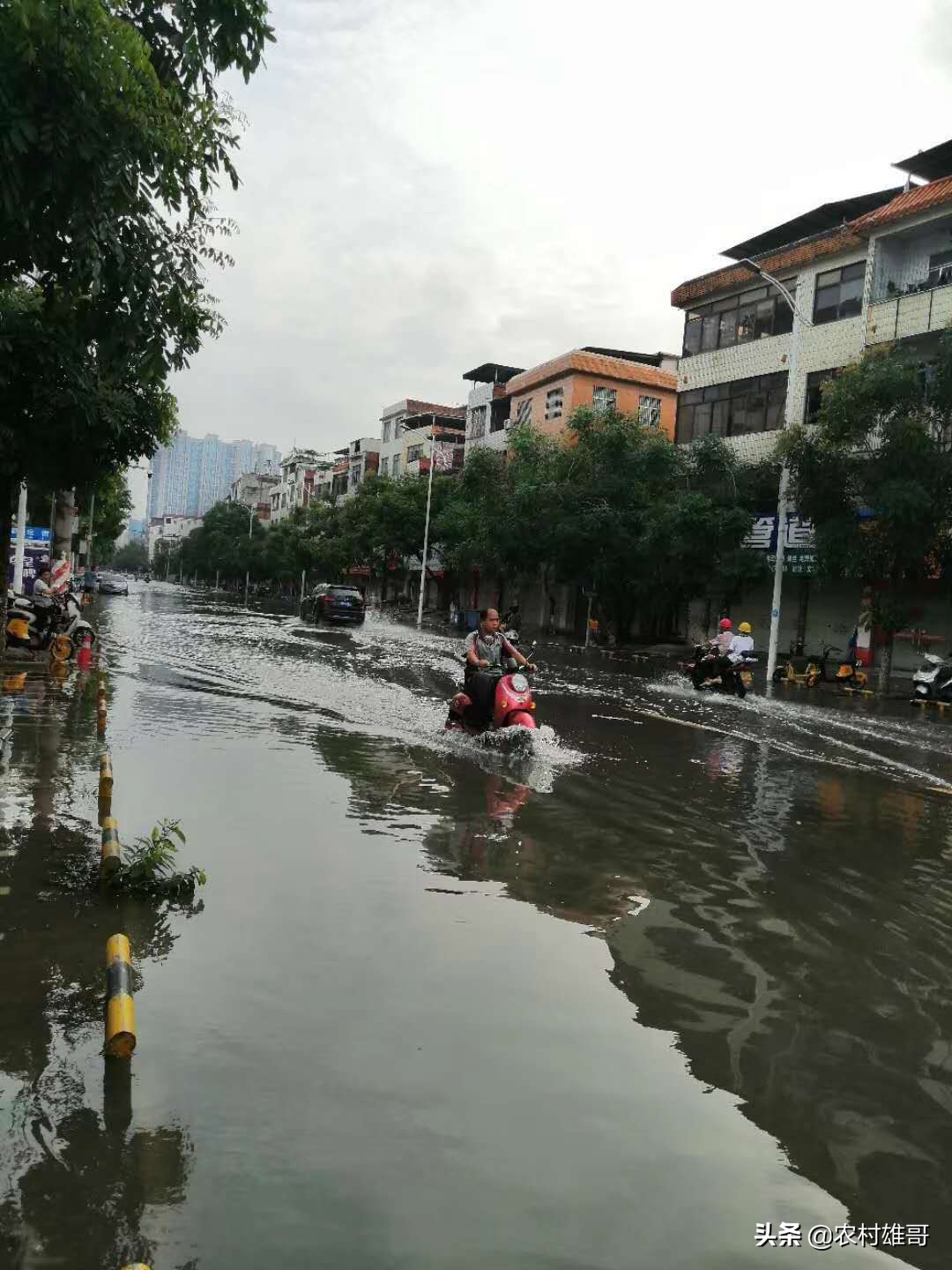 订婚吉日，“鹦鹉”来捣蛋，把家门口路给堵了