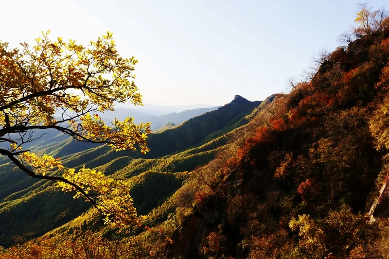 ​十月的喇叭沟彩叶漫山溪水潺潺美翻啦！