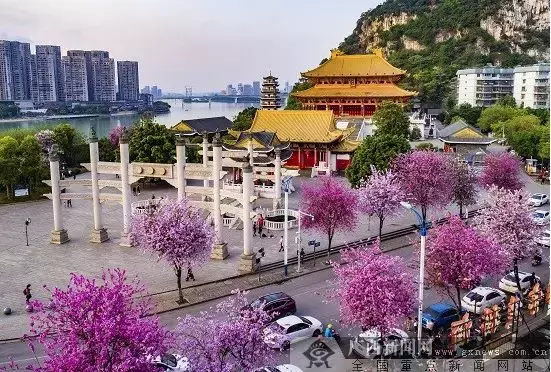 景区门票免费、半价、大优惠!"广西人游广西"活动周末启动