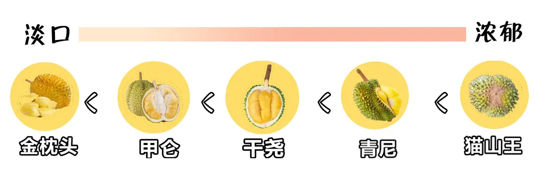 挑选榴莲如何不踩坑?学会3招,一分冤枉钱都不会花