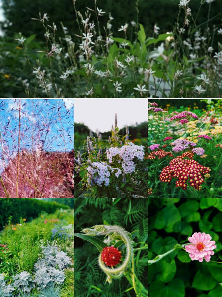 北京林业大学风景园林（北京这个学校很）