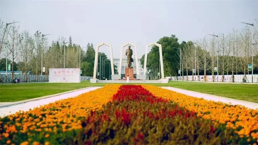 关注！近日，湖南这所高校火了，被“点名”84次！