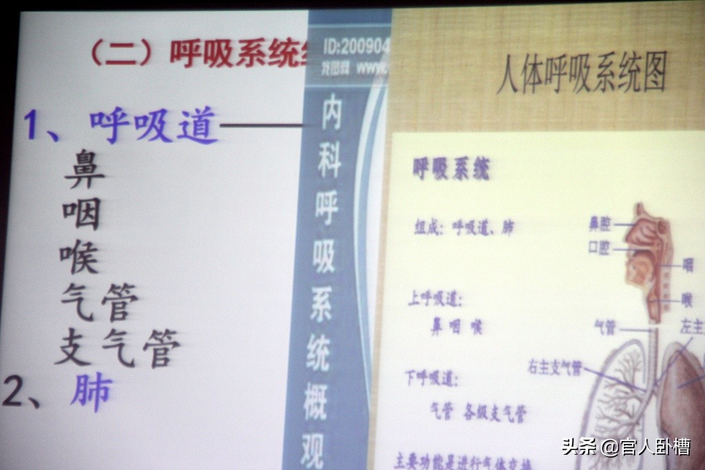 温岭城南镇养老护理员培训，两百名村民受益