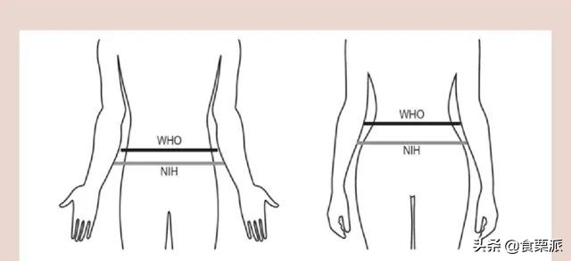 标准腰围(最新腰围标准出炉，快看看你达标了没)