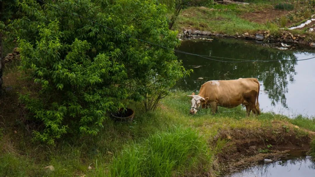 青春不散场，未来皆可期！高考毕业旅行季，我在蓬莱等你！