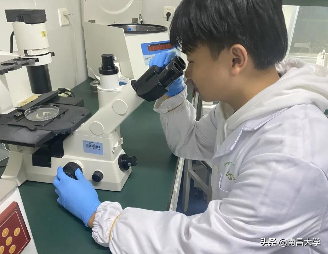 夺冠！南昌大学再捧江西省“挑战杯”！