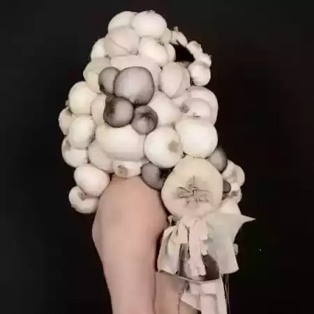 伦敦艺术大学招生专业大全，艺术留学生不可错过的“知识点”