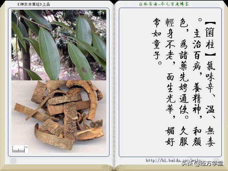 《神农本草经》全册图文解析 建议收藏