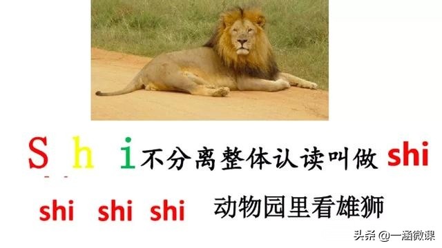 幼小衔接-小学汉语拼音—整体认读音节图文解析