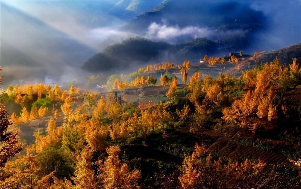 的"西雁荡"素有"西雁荡"美誉的温州泽雅,分布着泽雅湖,纸山,五凤,崎云