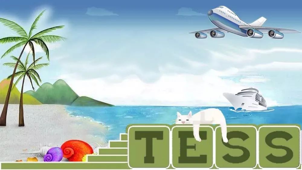 Tess外贸Club海运联盟计划议定书