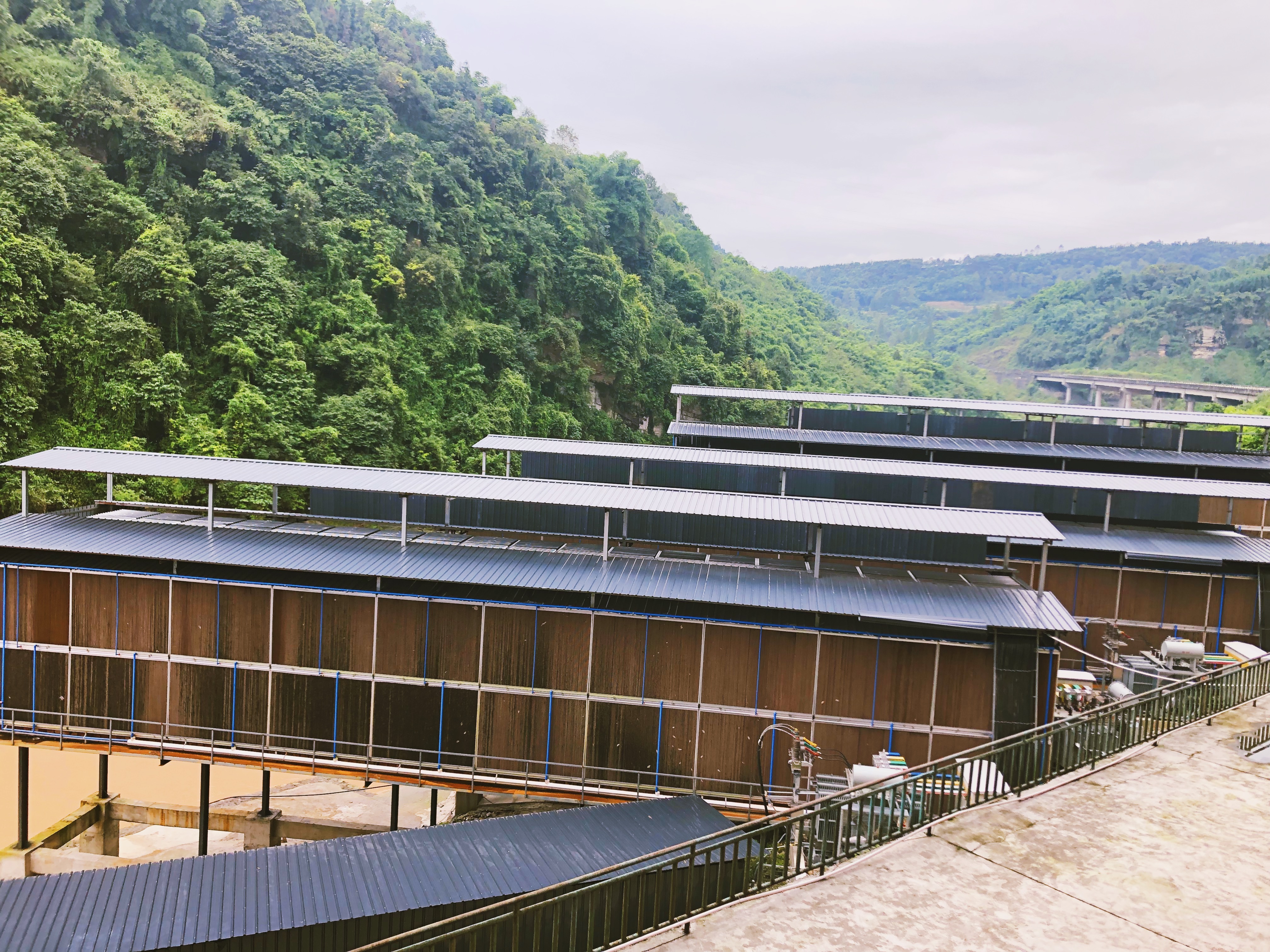 比特大陆蚂蚁S19矿机交付延迟，RHY矿机租赁救急矿工