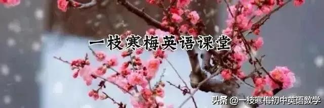 高考英语核心词汇：飞机的英文表达及用法解析