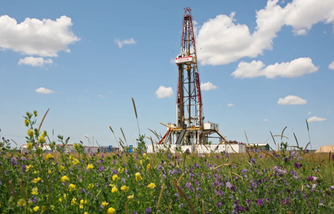 什么是快乐星球（什么是快乐星球？）