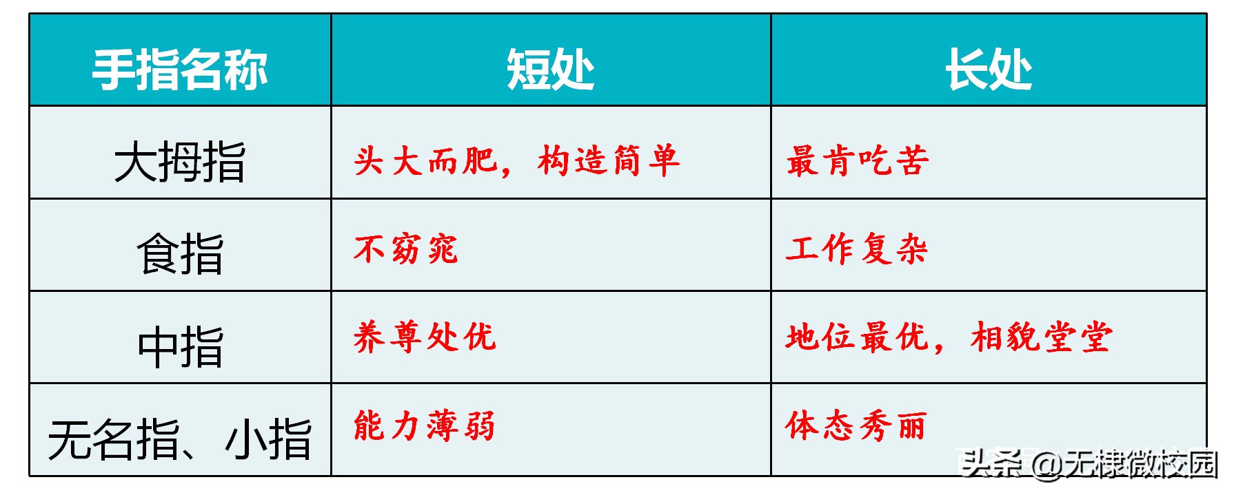 五年级语文下册22《手指》课文讲解、拓展延伸、巩固练习都全了