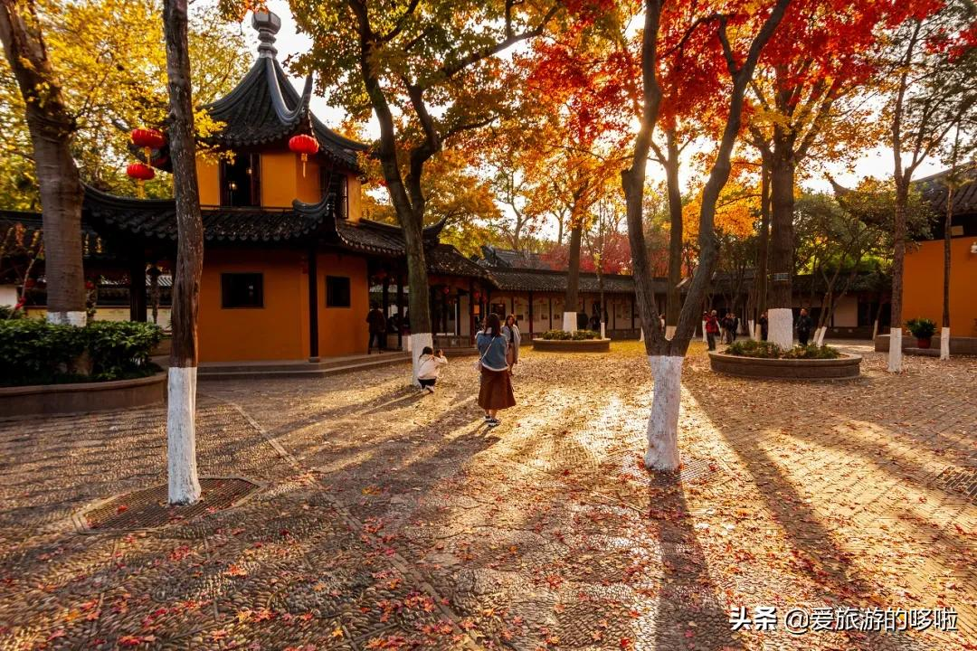 京杭大运河的秋，串联8城之美，惊艳千年时光