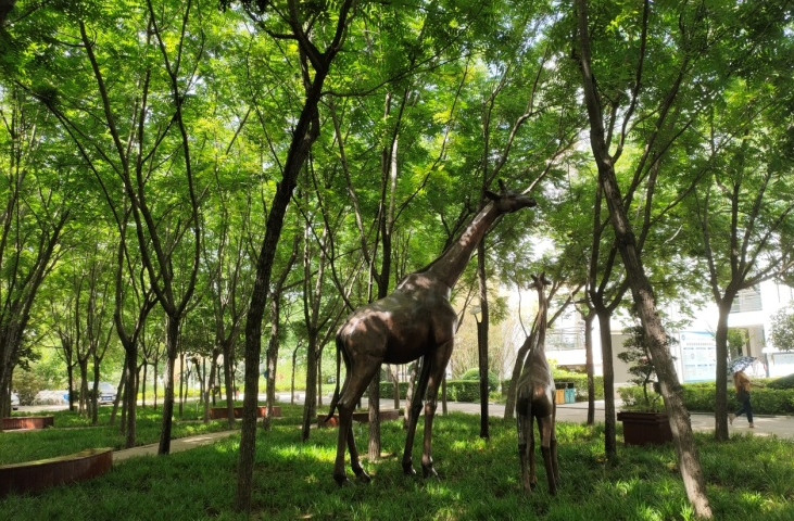 「2021中招」郑州重点高中哪家强？分数线及综评数据超全分析