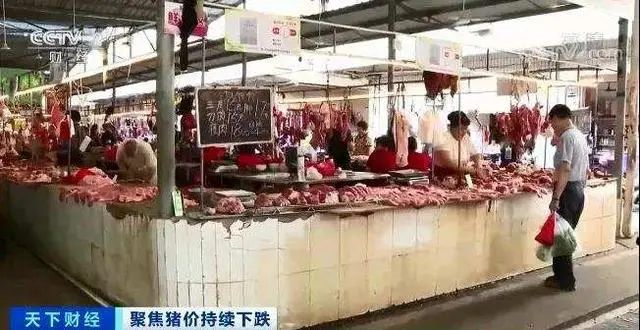 江西猪肉价格今日价走势，现在江西的猪肉价格是多少