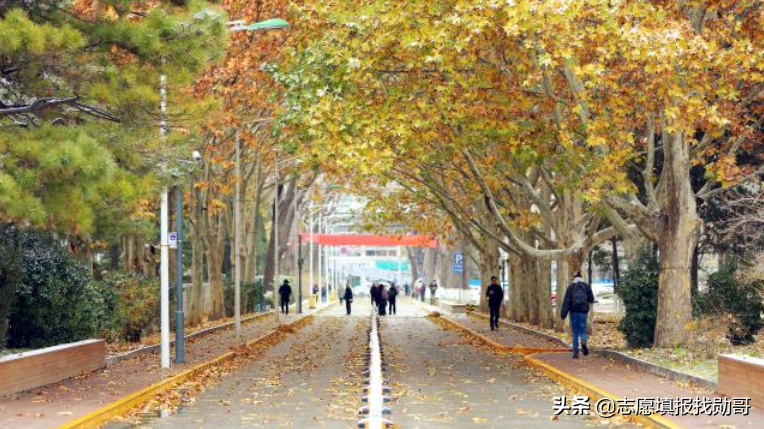 香港中文大学，神坛跌落，再度爆冷！录取分数直线下跌