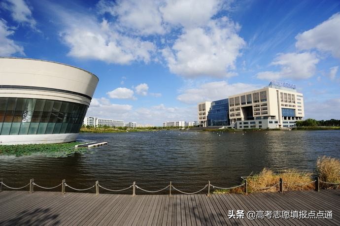 上海海事大学优势专业分析及2019、2018、2017年各省录取分数线