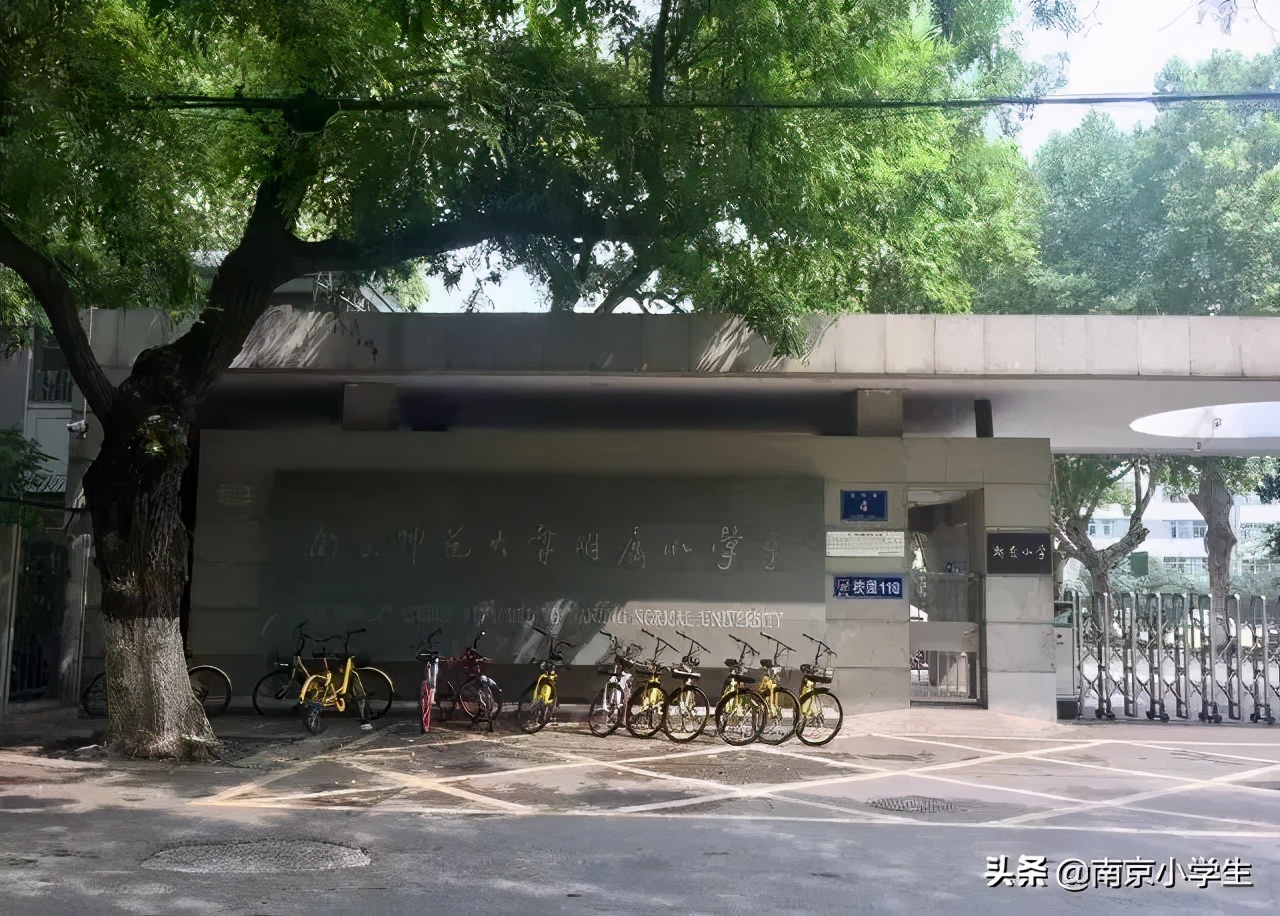 玄武区教育格局：小、初、高名校全盘点