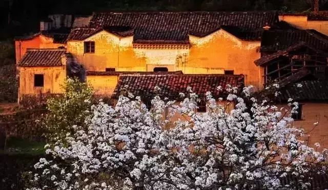 浙江龙泉10处最美古村落，寻访宝剑青瓷故里的静谧风景