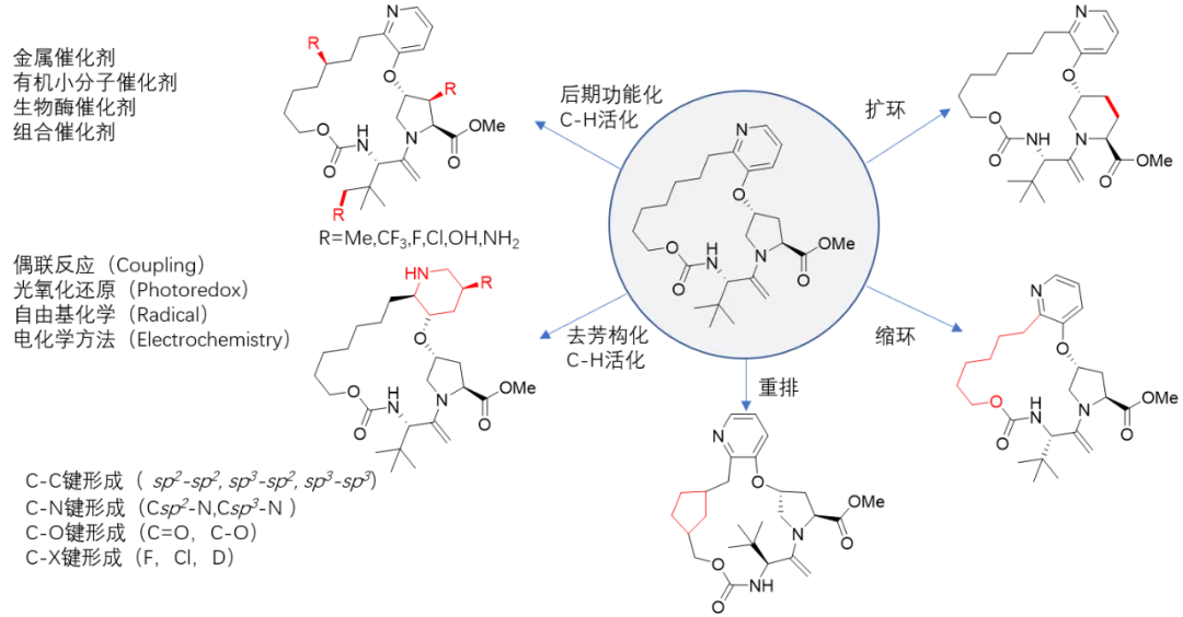 有机化学又获诺奖，药物创新发动机面临四大新课题