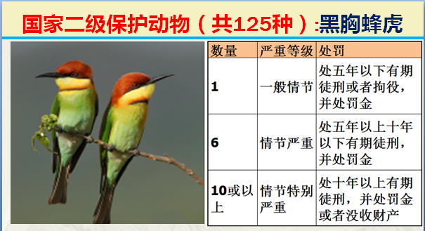 国家保护动物分几个等级（125类二级野生保护名录）